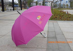 泉州與南寧廣告?zhèn)愣ㄖ迫ヂ?廠家選擇與價格指南