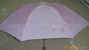 南寧廣告傘供應商 一站式解決方案，打造品牌戶外形象