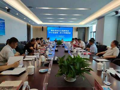 省東漢文化研究會赴宜昌調研 聚焦網絡文化經營，助力民營實體企業發展